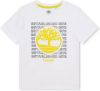 Timberland T shirt met korte mouwen, in bio katoen online kopen