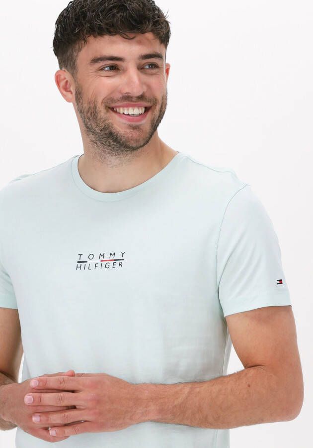 Tommy Hilfiger Square Logo T shirt Mw0Mw24547 LVZ , Groen, Heren