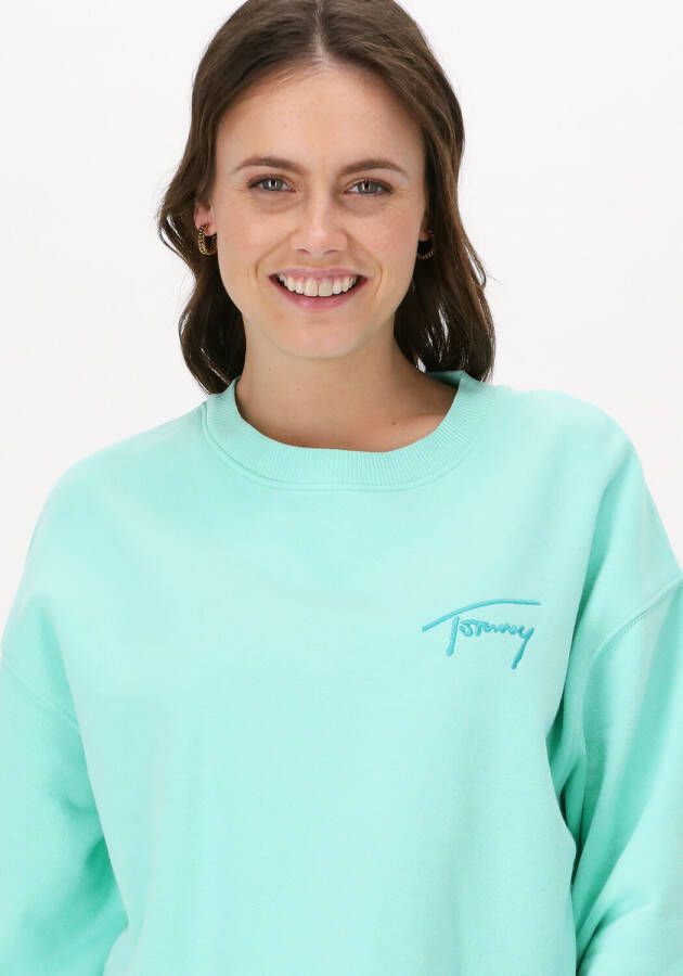 Tommy Jeans Mint Sweater Tjw Crop Tommy Signature Crew