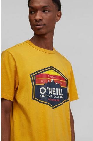 O'Neill T shirt Mtn Horizon Ss T Shirt
