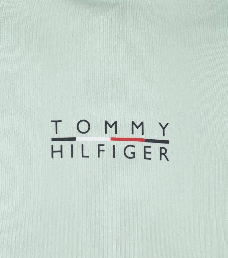 Tommy Hilfiger Square Logo hoodie mw0mw24150 , Groen, Heren