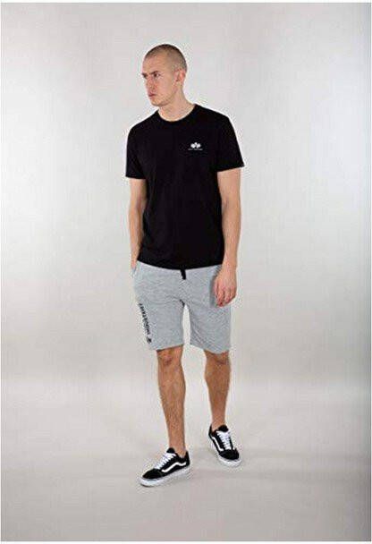 alpha industries Korte Broeken Grijs Heren